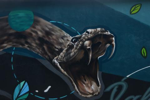 Foto: Especial Foto: Especial