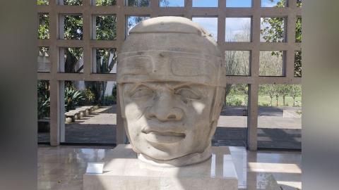Cabeza olmeca volverá a Xalapa desde Abu Dhabi en 2027