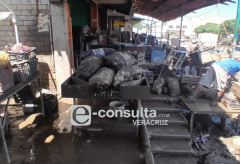 negocios, inundaciones, Veracruz