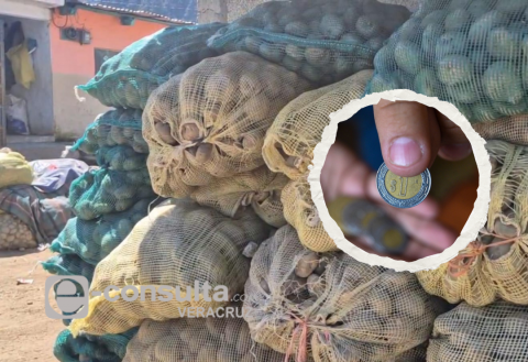 ¡A peso el kilo! Sobreoferta de papa en Perote habría desplomado su precio