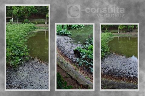 Ayuntamiento de Xalapa estudiará contaminantes del Paseo Los Lagos