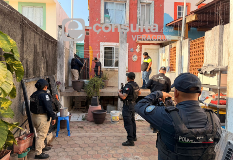 perros, cateo en Coatzacoalcos, maltrato