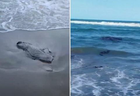 Pescadores exhiben chapopote en playas de Vega de Alatorre