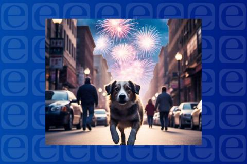 Por esto debes evitar la pirotecnia cerca de las mascotas