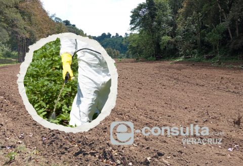 plaguicidas-emergencia_ambiental-Xalapa