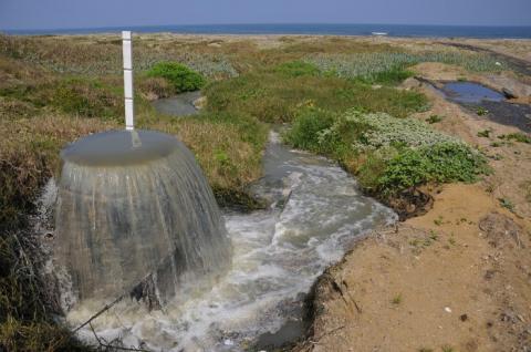 Foto: AVCNoticias Foto: AVCNoticias