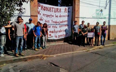 Denuncian despido injustificado de 26 empleados de ProNatura