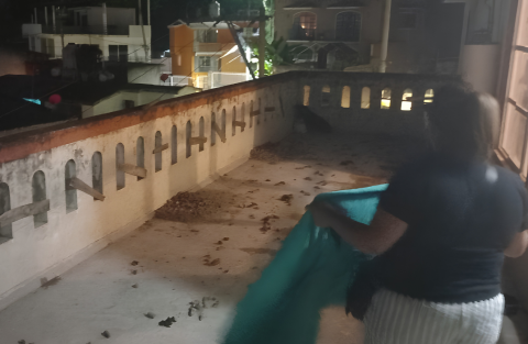 Arrojaron perros del techo: la denuncia que Fiscalía no atendió en Xalapa