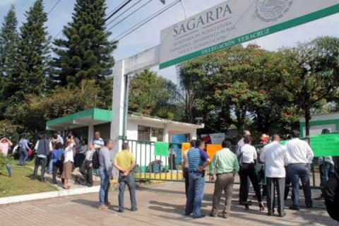 Foto: Especial Foto: Especial