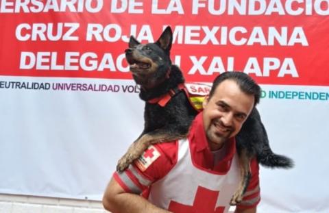 Sebastián y Ziggy, binomio canino de Xalapa que apoyan a Venezuela