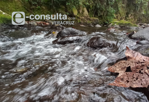 sequía-Veracruz-diciembre sequía-Veracruz-diciembre