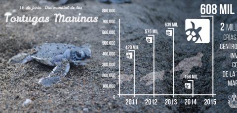 Implementa SEDEMA mecanismos de protección y conservación de la tortuga marina