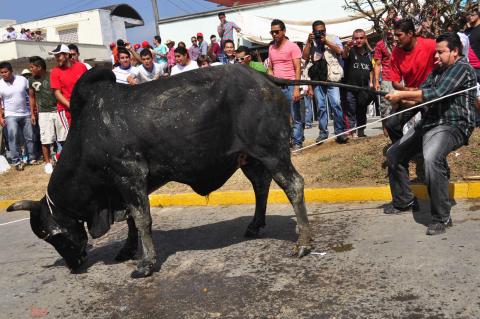 Cerveza y orines contra los Toros: Tlacotalpan 2014 image 4