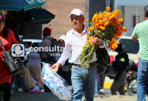 Todos Santos: flores y hasta músicos llevan al Palo Verde de Xalapa