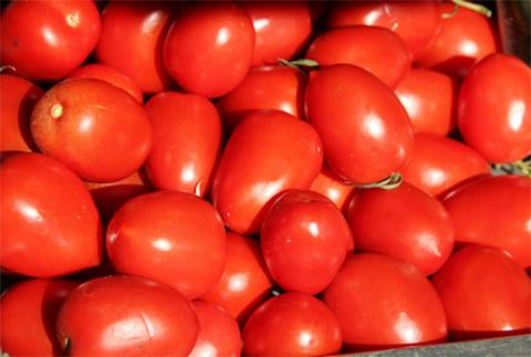 Foto: AVCNoticias Foto: AVCNoticias