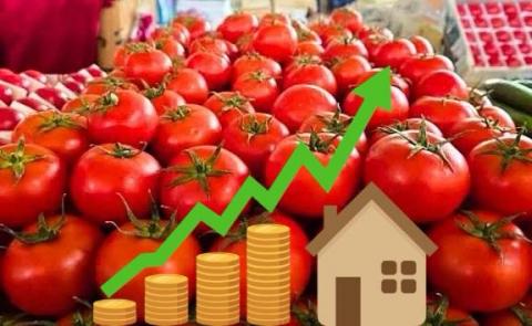 Jitomate tiene su mayor alza en 15 años; esto cuesta en Veracruz