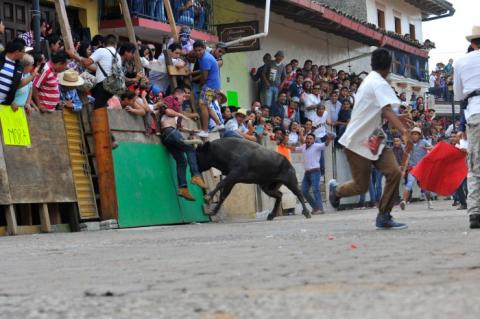 Foto: AVCNoticias