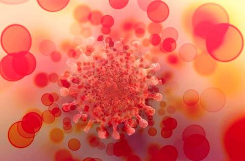 Última Hora | ¿Primer caso de ómicron en México? Esto se sabe