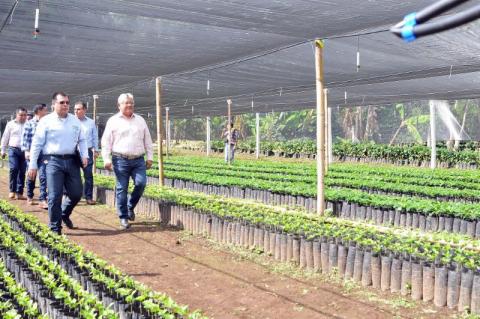 Los cafeticultores veracruzanos contarán con el apoyo del Gobernador Yunes: Sedarpa image 1