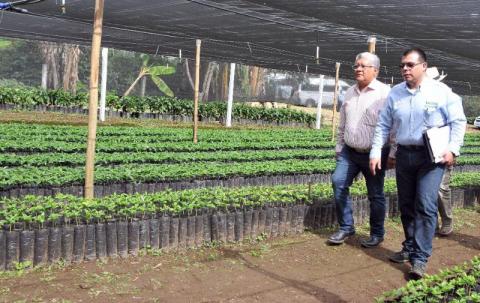 Los cafeticultores veracruzanos contarán con el apoyo del Gobernador Yunes: Sedarpa image 2