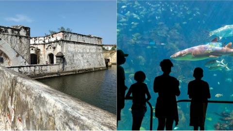 Guía para disfrutar las vacaciones en Veracruz, Boca del Río y Alvarado