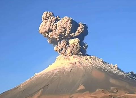 Foto: Especial Foto: Especial