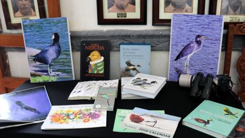 Fortín, Programa de Aves Urbanas, cabildo Fortín, Programa de Aves Urbanas, cabildo