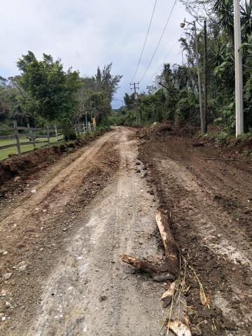 recuperación, calle Camino al Caño, Tlacotengo