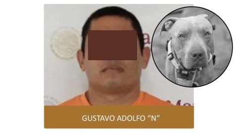 Gustavo “N”, detenido por matar y arrastrar al perro Benji en Veracruz