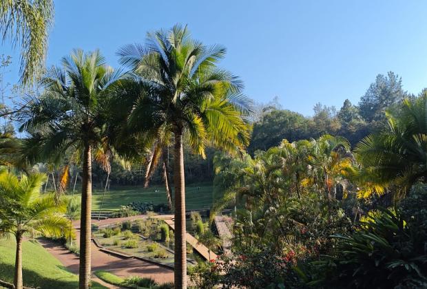 Clima en Veracruz: este viernes santo habrá altas temperaturas