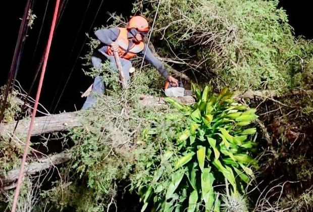 Frente frío 37 deja 33 colonias afectadas en Xalapa