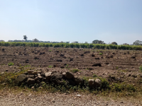 agricultura-agua-Veracruz