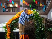 Megapuente-Día_de_Muertos-Veracruz 