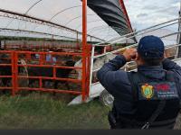 Recuperan en Edomex 35 cabezas de ganado de Ángel R. Cabada