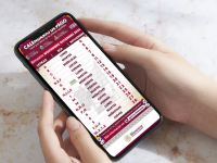 Calendario de Pagos, Bienestar, WhatsApp