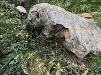 Muere campesino aplastado por roca gigante en Omealca 