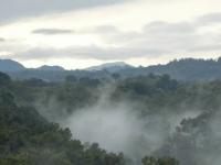 Clima en Veracruz: este martes se prevén altas temperaturas y lluvias