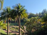 Clima en Veracruz: este viernes santo habrá altas temperaturas