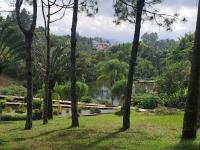 Clima en Veracruz: este domingo aumentarán las temperaturas