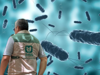 brote-colera-Tatahuicapan