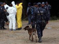 Foto: Policía Federal