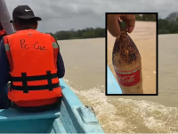 Ecocidio en río Cazones: hallan cientos de peces muertos