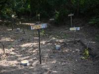 Veracruz, segundo lugar en fosas clandestinas entre 2006 y 2025: Ibero