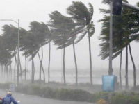 alerta gris, Veracruz, Frente Frío 37, domingo