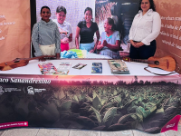 San Andrés Tuxtla, Fiestas de la Candelaria, 2026