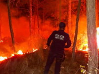 incendios forestales, hectáreas, Perote