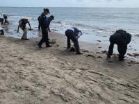 crudo, costas de Veracruz, Tabasco