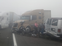 Maltrata, muerto, carambolas