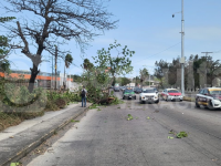 norte, daños, Veracruz y Boca