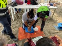 PC Municipal, capacita, prestadores de servicios 